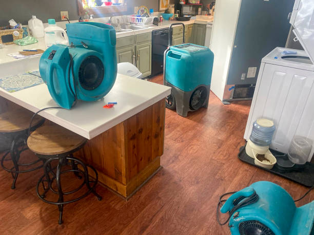 Best Water damage restoration insurance claims  in Lennox, SD