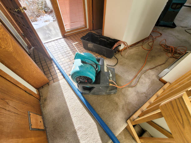 Best 24/7 water damage repair  in Lennox, SD