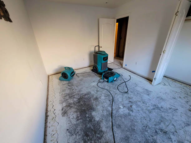 Best Flood restoration services  in Lennox, SD