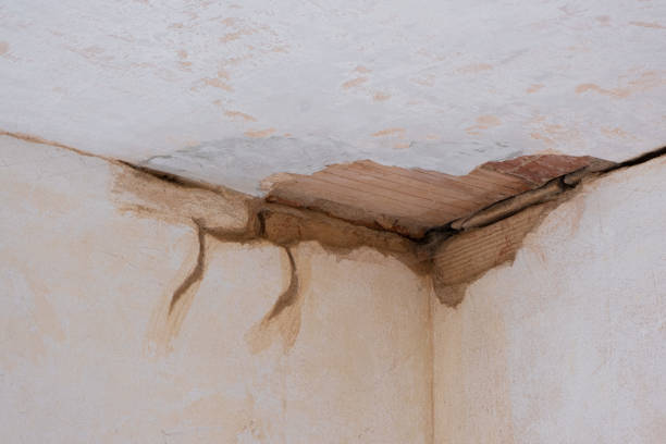 Best Flooded house restoration  in Lennox, SD