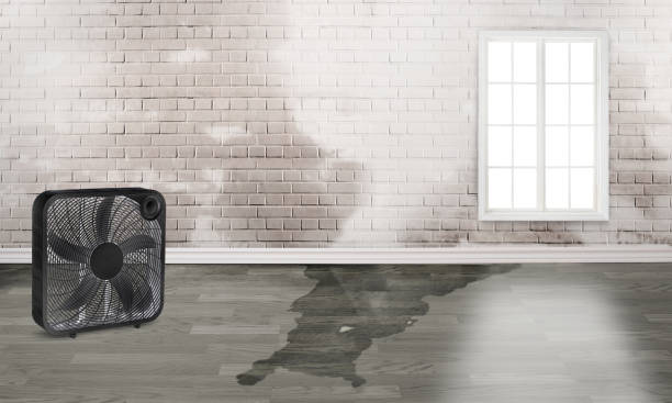 Best Water damage restoration near me  in Lennox, SD