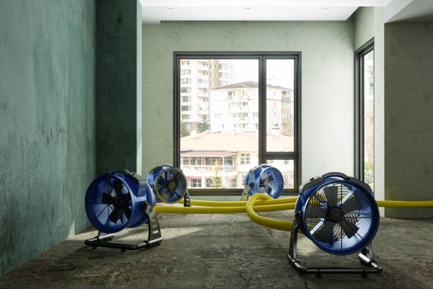 Best Carpet water damage restoration  in Lennox, SD