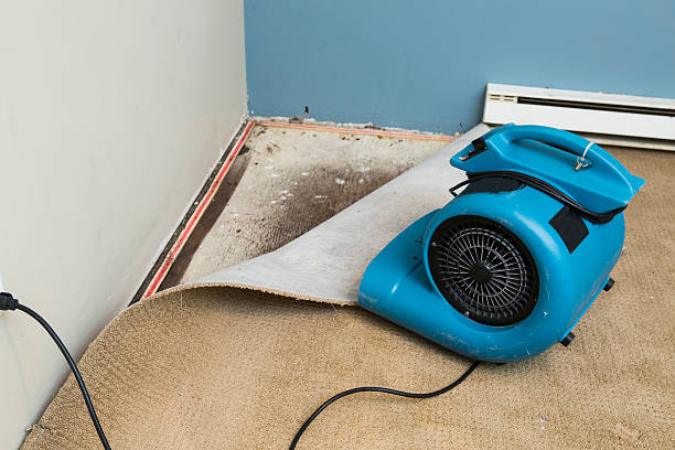 Best Residential water damage restoration  in Lennox, SD